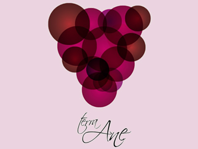 Diseño etiquetas de vino Terra Ane La Rioja